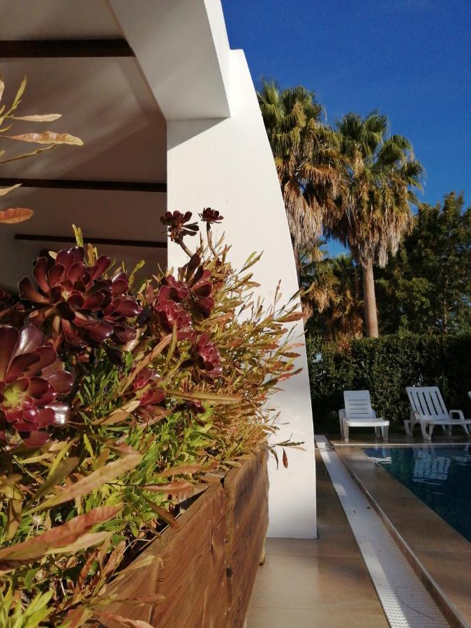 Herdade Da Diabroria - Agroturismo เบจา ภายนอก รูปภาพ