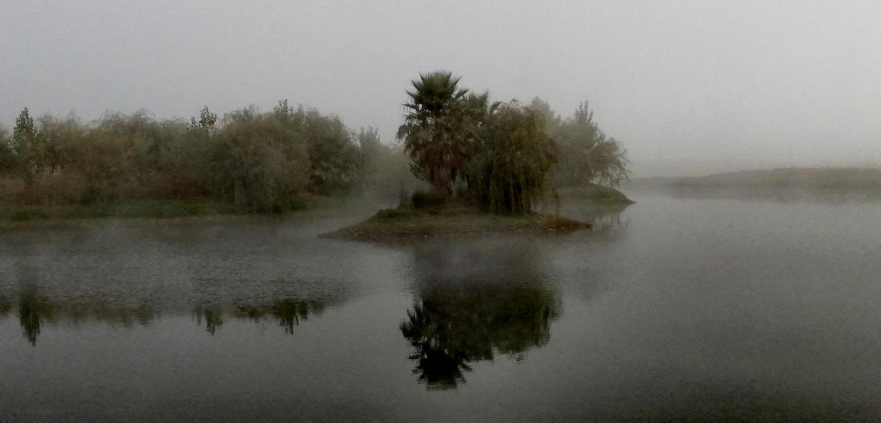 Herdade Da Diabroria - Agroturismo เบจา ภายนอก รูปภาพ